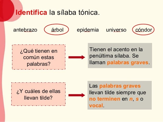 Exito Es Una Palabra Aguda Grave O Esdrujula