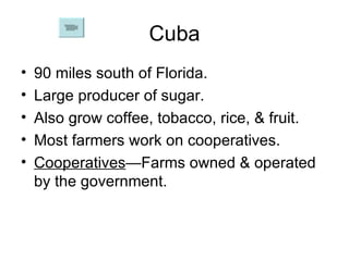 Cuba 90 miles south of Florida. Large producer of sugar. Also grow coffee, tobacco, rice, & fruit. Most farmers work on cooperatives. Cooperatives —Farms owned & operated by the government. 