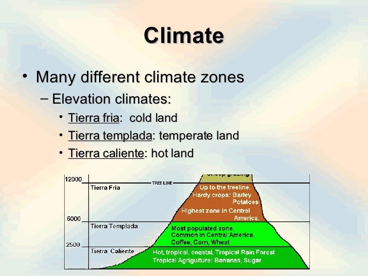 Latin America Physical