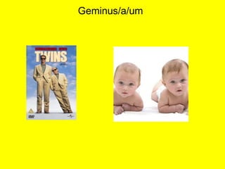 Geminus/a/um
 