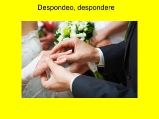 Despondeo, despondere
 