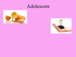 Adolescere
 