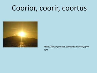 Coorior, coorir, coortus
https://www.youtube.com/watch?v=eVyZpvw
Syxs
 