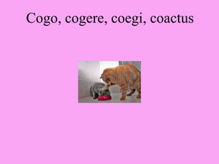 Cogo, cogere, coegi, coactus
 