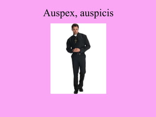 Auspex, auspicis
 