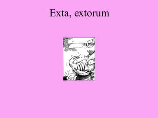 Exta, extorum
 