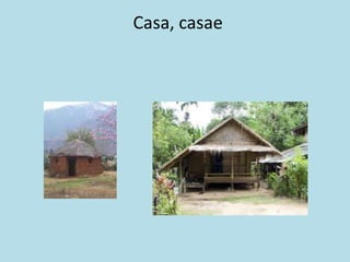 Casa, casae
 