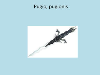 Pugio, pugionis
 