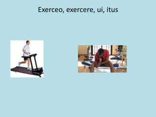 Exerceo, exercere, ui, itus
 