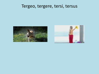 Tergeo, tergere, tersi, tersus
 