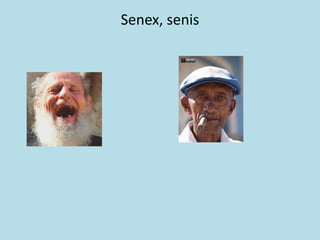 Senex, senis
 