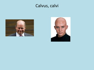 Calvus, calvi
 
