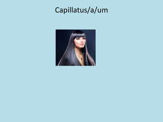 Capillatus/a/um
 