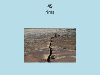 45
rima
 