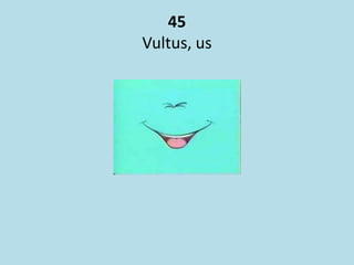 45
Vultus, us
 