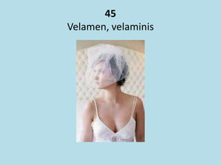 45
Velamen, velaminis
 