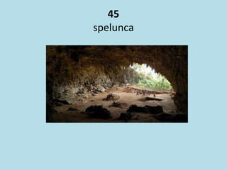 45
spelunca
 