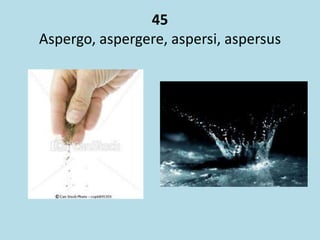 45
Aspergo, aspergere, aspersi, aspersus
 