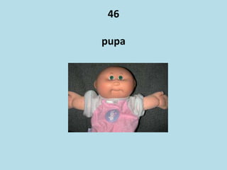 46
pupa
 