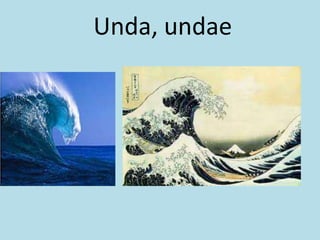 Unda, undae
 
