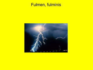 Fulmen, fulminis
 