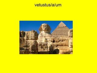 vetustus/a/um
 