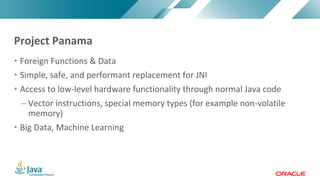 Copyright	©	2017,	Oracle	and/or	its	affiliates.	All	rights	reserved.		|Copyright	©	2017,	Oracle	and/or	its	affiliates.	All	rights	reserved.	
• Foreign	Functions	&	Data
• Simple,	safe,	and	performant	replacement	for	JNI
• Access	to	low-level	hardware	functionality	through	normal	Java	code
– Vector	instructions,	special	memory	types	(for	example	non-volatile	
memory)
• Big	Data,	Machine	Learning
Project	Panama
 