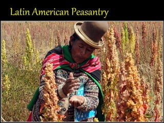 Latin American Peasantry
 