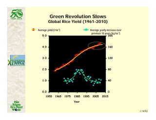 Latin america worlds_future_rice_bowl