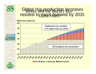 Latin america worlds_future_rice_bowl