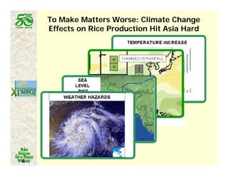 Latin america worlds_future_rice_bowl