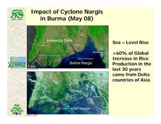 Latin america worlds_future_rice_bowl