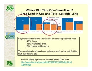 Latin america worlds_future_rice_bowl