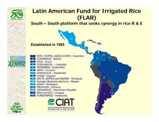 Latin america worlds_future_rice_bowl