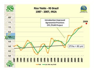 Latin america worlds_future_rice_bowl