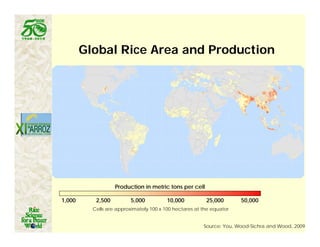 Latin america worlds_future_rice_bowl