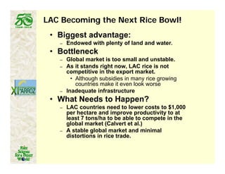 Latin america worlds_future_rice_bowl