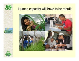 Latin america worlds_future_rice_bowl