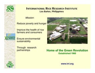 Latin america worlds_future_rice_bowl