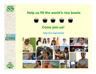 Latin america worlds_future_rice_bowl