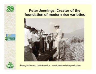 Latin america worlds_future_rice_bowl