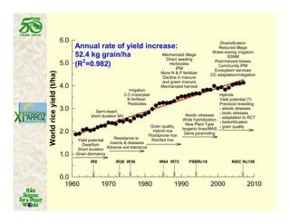 Latin america worlds_future_rice_bowl