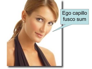 Ego capillo
fusco sum
 