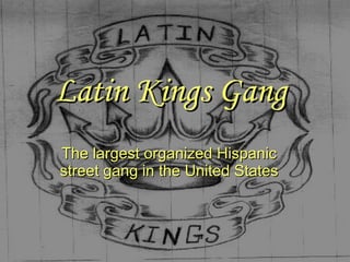 Latin Kings Gang The largest organized Hispanic street gang in the United States 