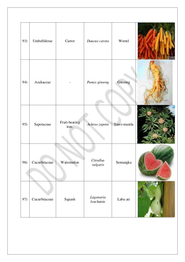  nama latin tumbuhan  binomial nomenclature 