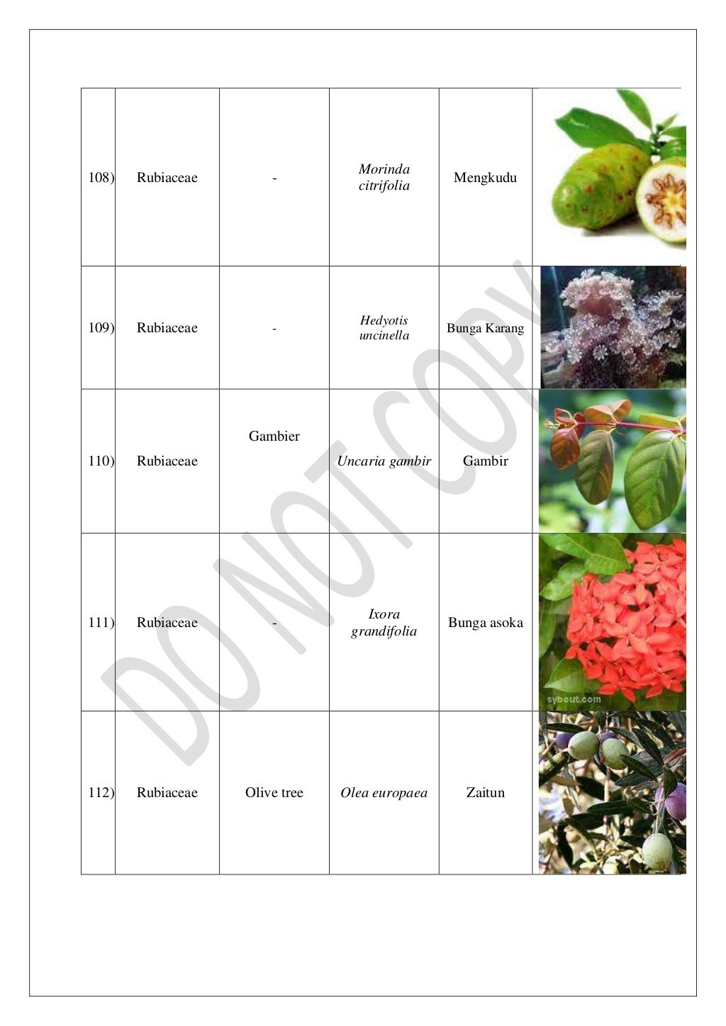  nama latin tumbuhan  binomial nomenclature 