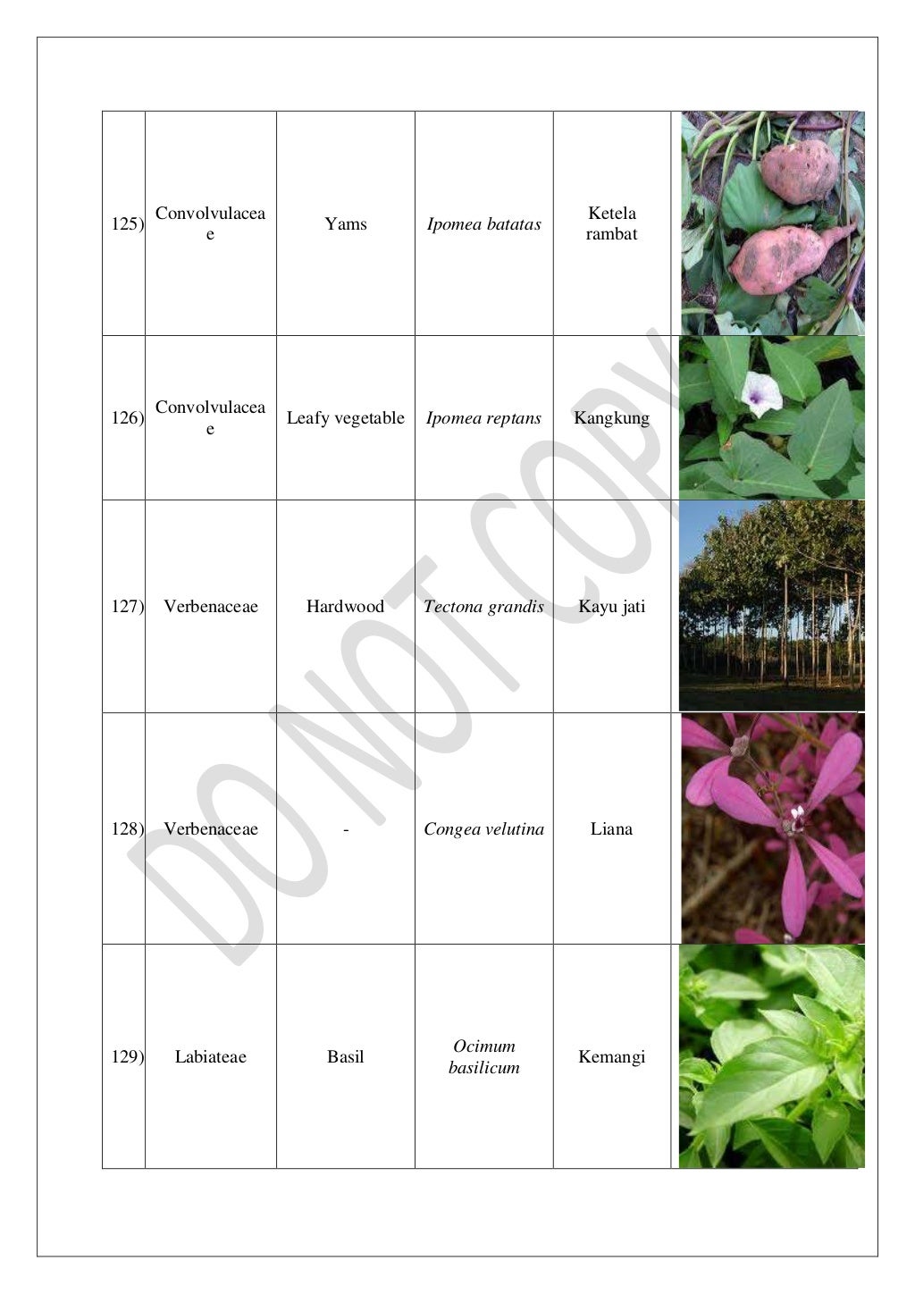  nama latin tumbuhan  binomial nomenclature 