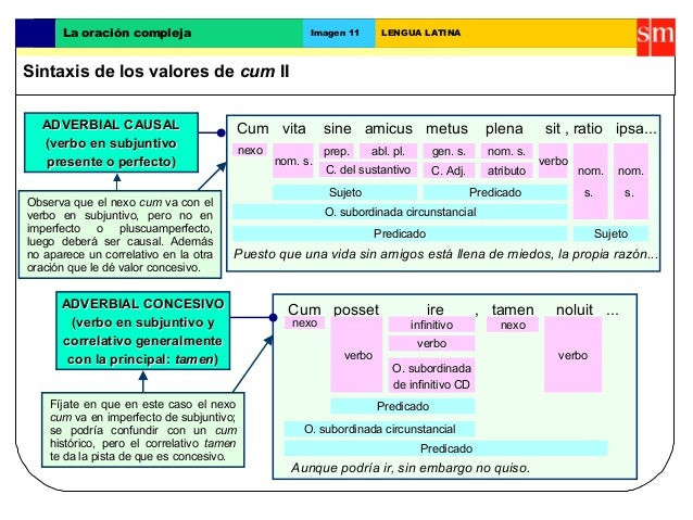 Valores de ut
La oraciÃ³n compleja Imagen 12 LENGUA LATINA
verbo en indicativoverbo en indicativo
verbo en subjuntivoverbo ...