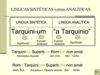 LINGUAS SINTÉTICAS versus ANALÍTICAS Significado Función sintáctica Significado Función sintáctica Tarquini us  Superb us  Rom am  non amat Rom a  Tarquini um  Superb um  non amat Nominativo Suxeito Ac= O.D. Verbo Nom. Sux. Acusativo = Obxecto directo Verbo Adv. Adv. “ a Tarquinio” Tarquini-um LINGUA ANALÍTICA LINGUA SINTÉTICA 