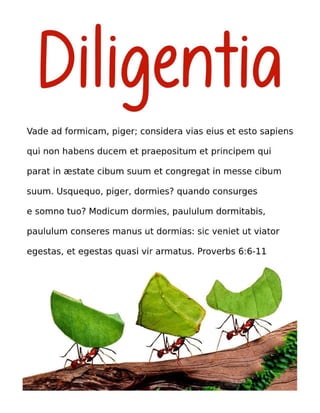 Latin Motivational Diligence Tract